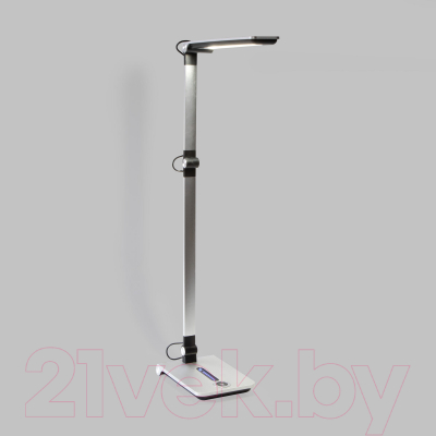 Настольная лампа Elektrostandard Great TL70240