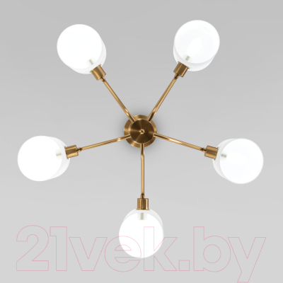 Люстра Евросвет 60157/5 