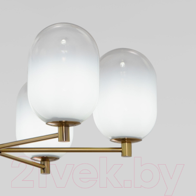 Люстра Евросвет 60161/6 