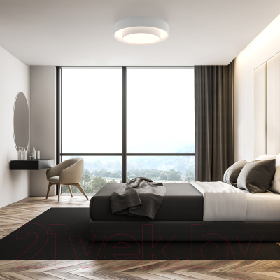 Потолочный светильник Евросвет 90331/2 