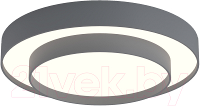 Потолочный светильник Евросвет 90331/2  - фото