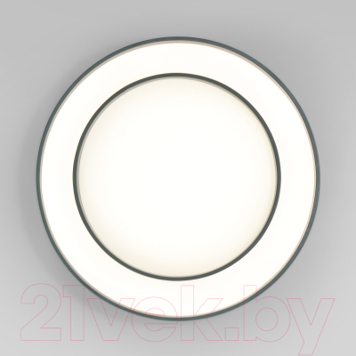 Потолочный светильник Евросвет 90331/2 