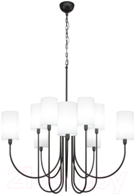 Люстра Евросвет 60164/10  - фото