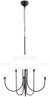 Люстра Евросвет 60164/6  - фото