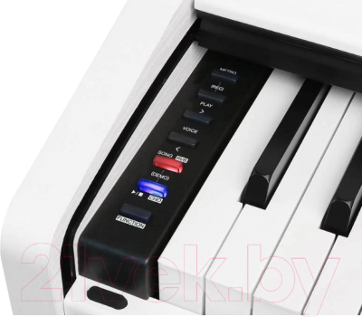 Цифровое фортепиано Medeli DP280K WH