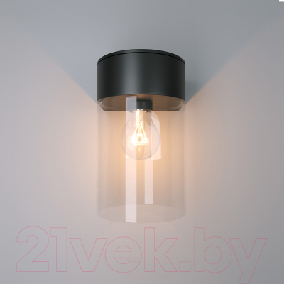 Светильник уличный Elektrostandard Atrani 35085/D