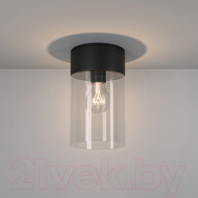 Светильник уличный Elektrostandard Atrani 35085/F