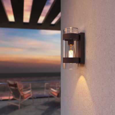 Бра уличное Elektrostandard Falcon 35167/D