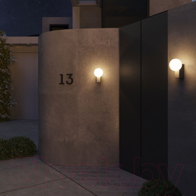 Бра уличное Elektrostandard Gravity 35166/U