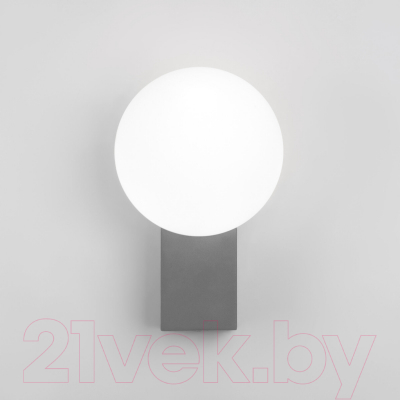 Бра уличное Elektrostandard Gravity 35166/U