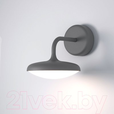 Бра уличное Elektrostandard Portal 35162/D  - фото