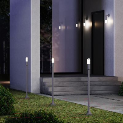 Светильник уличный Elektrostandard Isida LED 35165/F