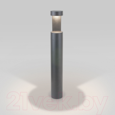 Светильник уличный Elektrostandard Nimbus IP54 35126/F