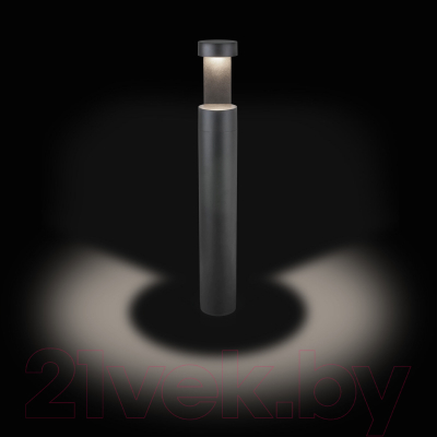 Светильник уличный Elektrostandard Nimbus IP54 35126/F