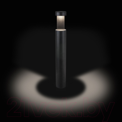 Светильник уличный Elektrostandard Nimbus IP54 35126/F