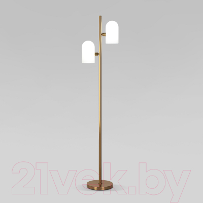 Торшер Евросвет 01164/2