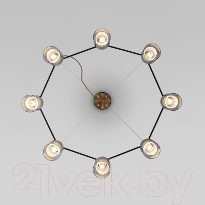 Люстра Евросвет 70219/8 