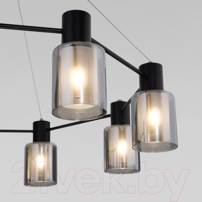 Люстра Евросвет 70219/8 