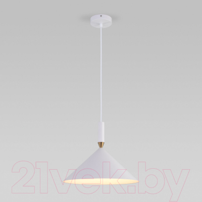 Потолочный светильник Евросвет 50024/1 