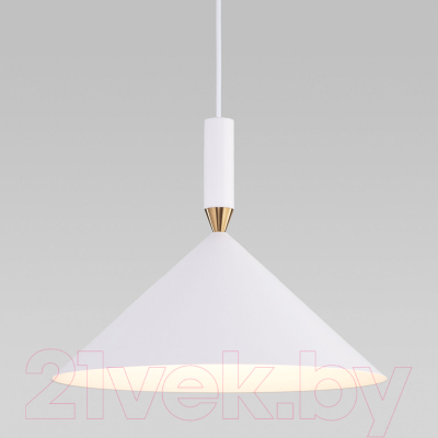 Потолочный светильник Евросвет 50024/1 