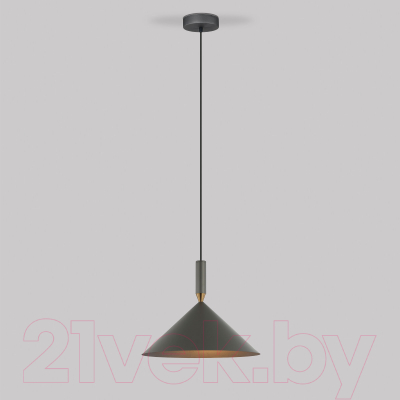 Потолочный светильник Евросвет 50024/1 