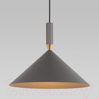 Потолочный светильник Евросвет 50024/1 