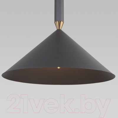 Потолочный светильник Евросвет 50024/1 