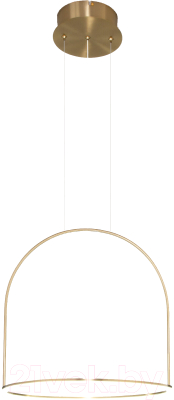 Потолочный светильник Евросвет 90322/1  - фото