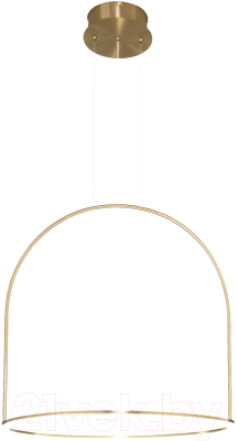 Потолочный светильник Евросвет 90323/1  - фото