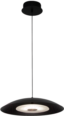 Потолочный светильник Евросвет 90328/1  - фото