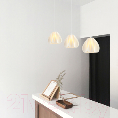 Потолочный светильник Евросвет 30187/1 