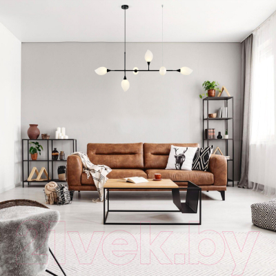 Люстра Евросвет 30188/6 