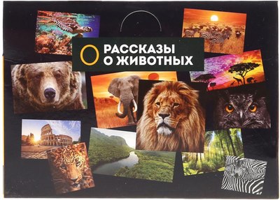 Фигурка игровая Играем вместе Динозавр велоцираптор / 660-2R