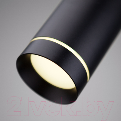 Потолочный светильник Elektrostandard DLR023 12W 3000K