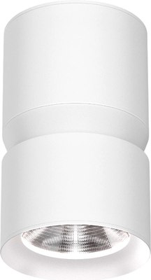 Точечный светильник Elektrostandard Kayo 25049 LED 12W 4000К - фото