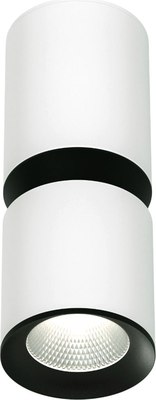 Точечный светильник Elektrostandard Kayo 25048 LED 12W 4000К - фото