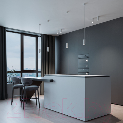 Потолочный светильник Elektrostandard Nubis GU10 50122/1