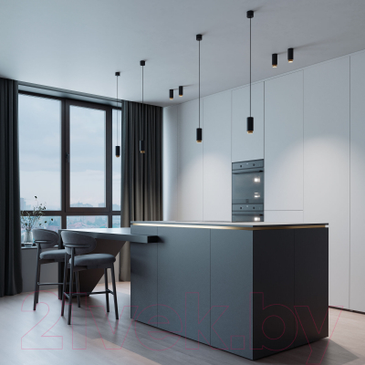 Потолочный светильник Elektrostandard Nubis GU10 50122/1