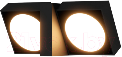 Светильник уличный Elektrostandard Twin 35170/D - фото