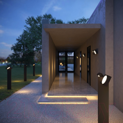 Светильник уличный Elektrostandard Twin 35170/D