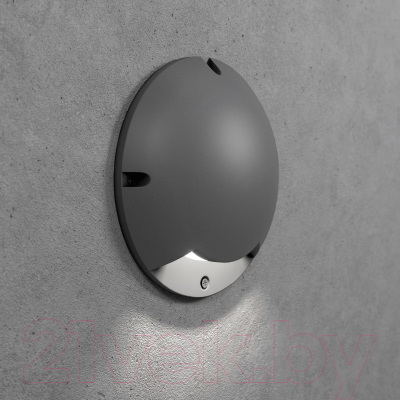 Светильник уличный Elektrostandard Park 35167/S