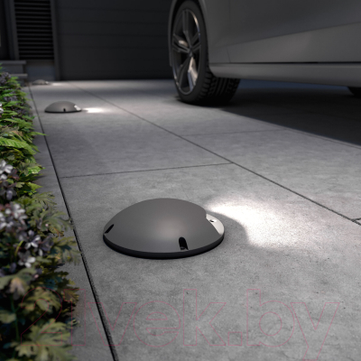 Светильник уличный Elektrostandard Park 35167/S