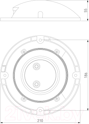 Светильник уличный Elektrostandard Park 35167/S