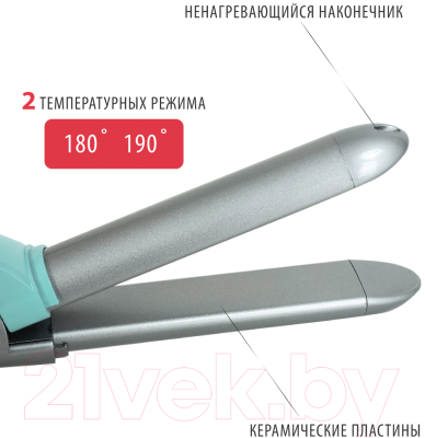 Выпрямитель-плойка Pioneer HS-10113