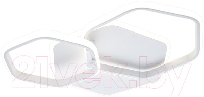 Потолочный светильник ESCADA 10217/2LED BL - фото