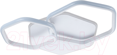 Потолочный светильник ESCADA 10217/2LED BL