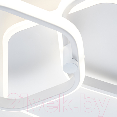 Потолочный светильник ESCADA 10217/2LED BL