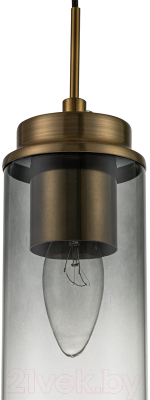 Потолочный светильник ESCADA 2118/1S