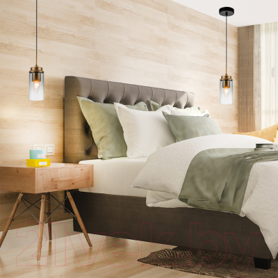 Потолочный светильник ESCADA 2118/1S