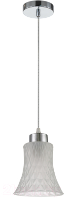 Потолочный светильник ESCADA 10193/1S